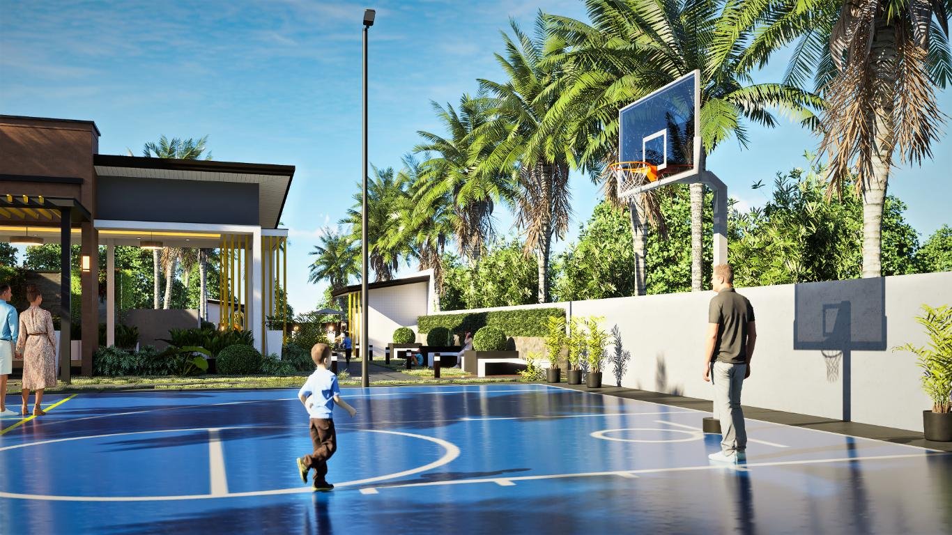 Basketball Court